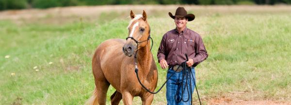 Training-a-Rescue-Horse-Part-11