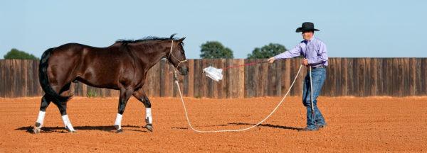 Clinton-Anderson-Presents_Desensitizing-to-Plastic-Bags
