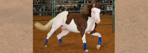 How-to-Begin-Liberty-Work