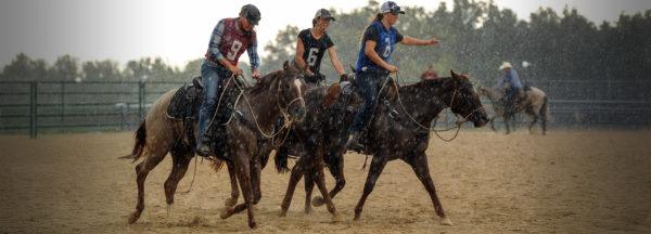 colt-starting-clinic_getting-horses-to-walk-trot-canter
